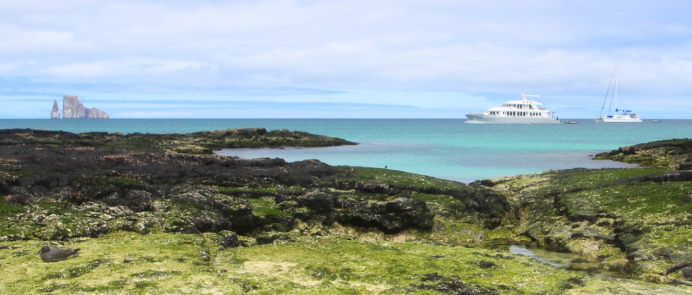 View of a bay from the beach. Black lava rocks with algae in the foreground. Turquoise water of the sea in the middle with two white ships in it to the right. One ship is a large yacht, the other one is a small sailing catamaran. To the right a rock formation reaches out of the water. Azure sky with with clouds in the background.